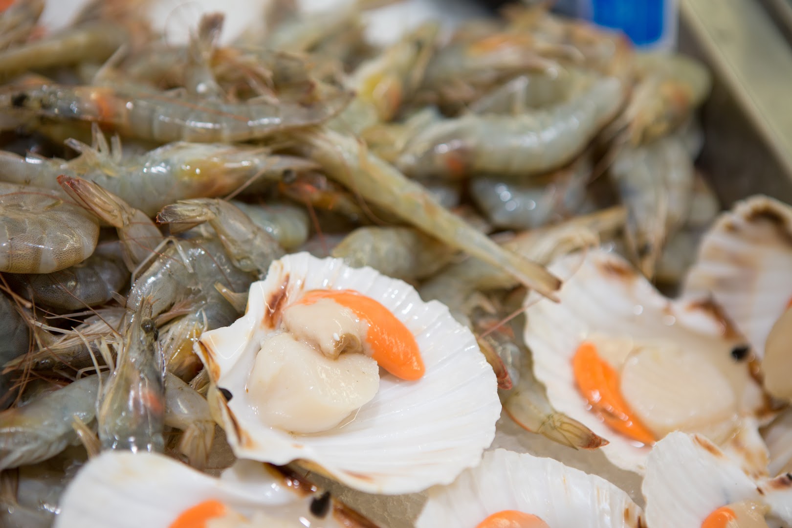 Casa del Pesce · Foto 4